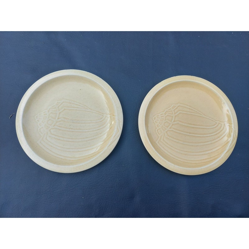 Ocean Single Shell Franciscan Sea Shells - Etsy
