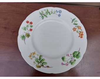 Minton Meadow Scalloped 10 3/4&quot; Dinner Plate 5 Flowers