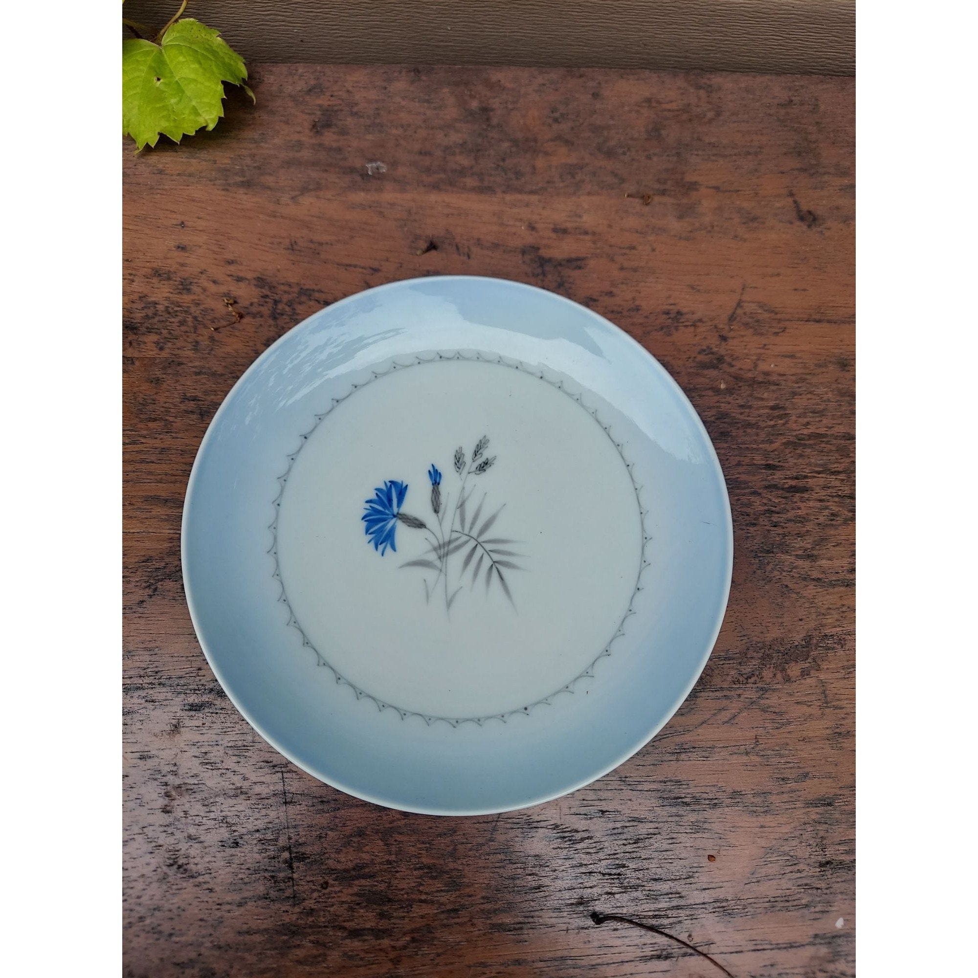 6 Bing & Grondahl Cornflower 7