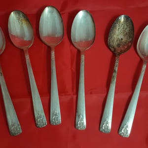 6 Rogers IS Spring Charm Dinner Teaspoons