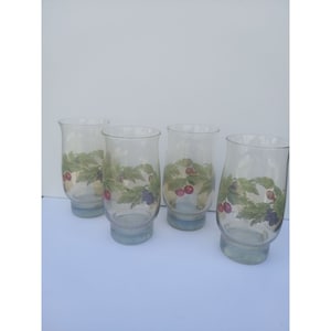 4 Pfaltzgraff Jamberry 16 fl oz Coolers Becher