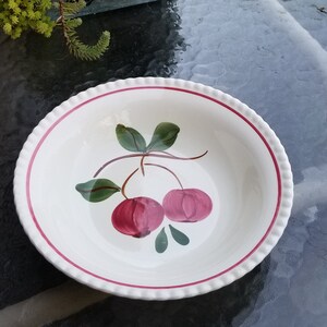 Blue Ridge Crab Apple Open Vegetable Bowl 9&quot;