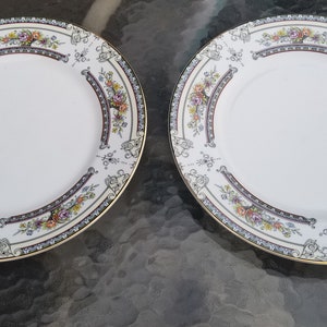 2 Mikasa Cambridge L9015  Dinner Plates 10 5/8&quot;