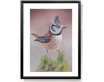 Art print Crested Tit Bird A5 from pastel original
