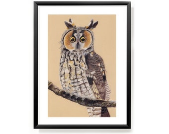 Art Print Long Eared Owl A5 from pastel original