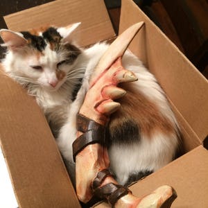 Puede incluir: Un gato calico acurrucado en una caja de cartón con un gran accesorio en forma de hueso. El accesorio está pintado de blanco con correas marrones y detalles rojos.