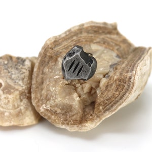 May include: A small, silver-colored metal object with a geometric design, resembling a shield, is embedded in a piece of light brown rock.