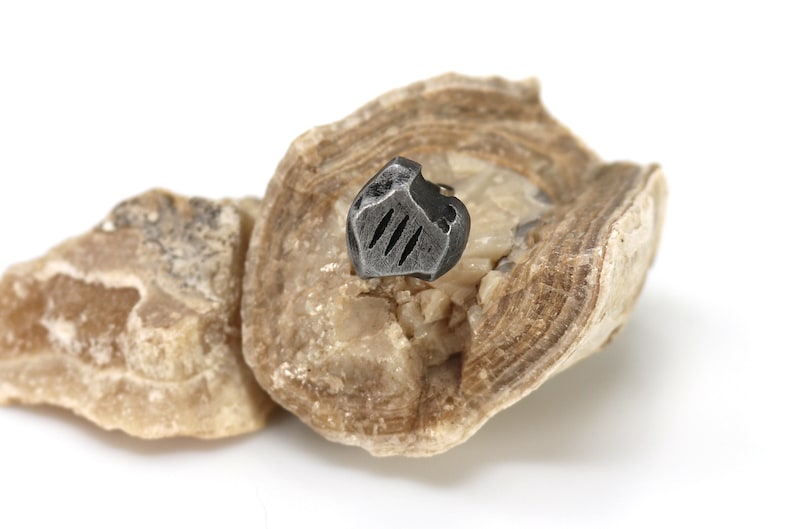 May include: A small, silver-colored metal object with a geometric design, resembling a shield, is embedded in a piece of light brown rock.