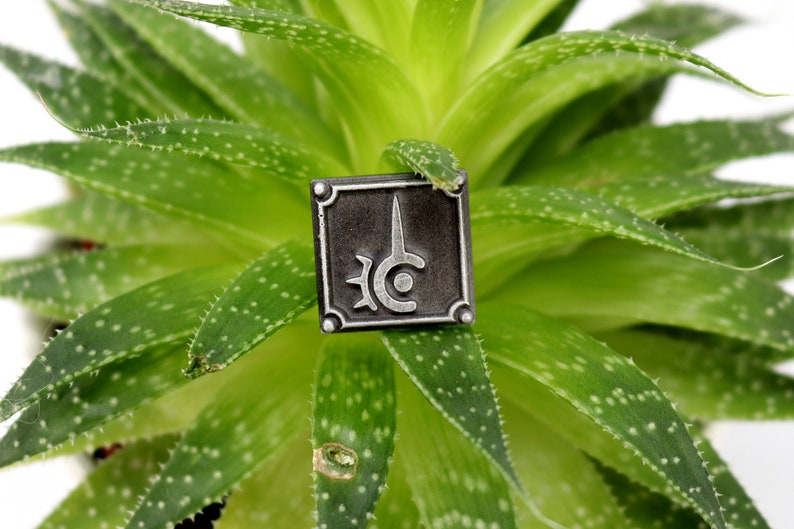 May include: A silver metal pin with a black background and a stylized design of a sword and a circle with a star inside. The pin is on a green succulent plant.
