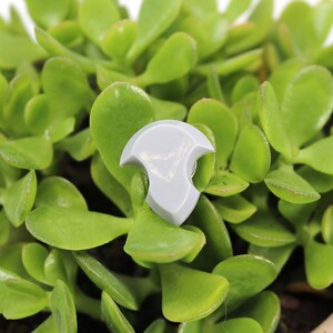 Puede incluir: Un colgante de cer&aacute;mica gris con un dise&ntilde;o de remolino, descansando sobre un lecho de hojas verdes de suculentas.