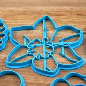 May include: A set of blue plastic cookie cutters shaped like flowers. The cutters are on a wooden surface.