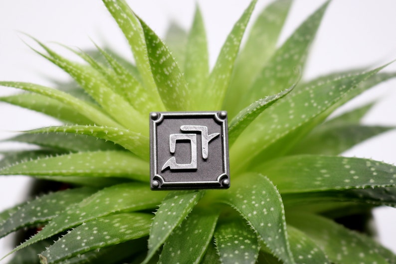 May include: A silver-colored square pin with a stylized Japanese character in the center. The pin is sitting on a green succulent plant.