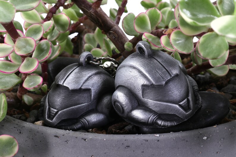 Puede incluir: Dos llaveros de metal de color plateado con forma de casco. Los llaveros est&aacute;n sobre una maceta de plantas verdes con bordes rosados.