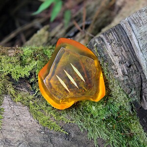 May include: A piece of amber with three light-colored inclusions, set against a backdrop of moss and weathered wood. The amber has a vibrant orange hue, and the inclusions appear to be plant matter. The scene is set outdoors, with natural light.