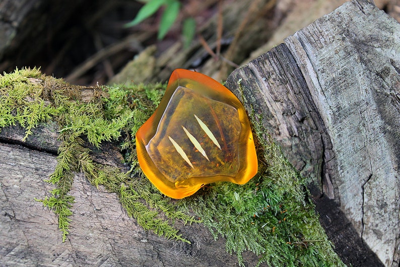 May include: A piece of amber with three light-colored inclusions, set against a backdrop of moss and weathered wood. The amber has a vibrant orange hue, and the inclusions appear to be plant matter. The scene is set outdoors, with natural light.