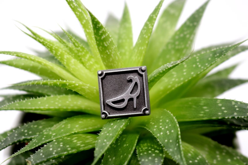 May include: A silver metal pin with a square frame and a raised design of a high-heeled shoe inside. The pin is sitting on a green succulent plant.