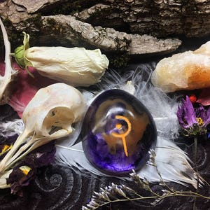 May include: A purple and gold resin cabochon with a symbol on a white feather, surrounded by dried flowers, a bird skull, and a piece of orange calcite.