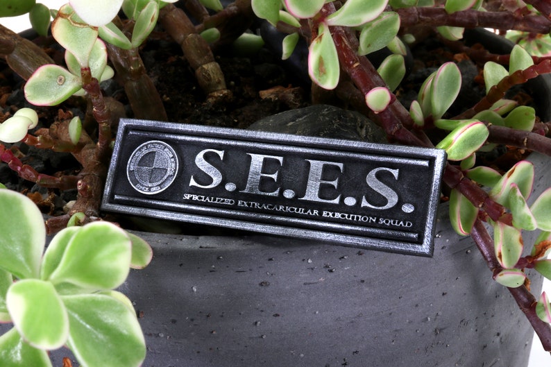 May include: A silver metal plaque with the text "S.E.E.S. Specialized Extracurricular Execution Squad" on a potted succulent plant.