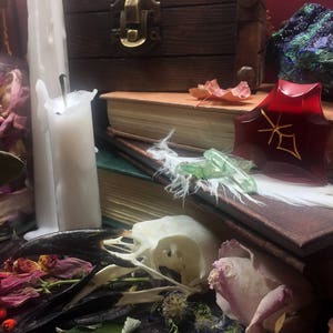 May include: A still life featuring a white candle, a glass jar filled with dried flowers, a red glass amulet with gold markings, a white feather, and a skull on a dark surface.