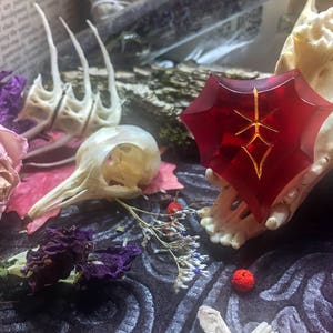 May include: A red resin pendant with a gold-colored design, resting on a white bone-like object. The pendant is surrounded by dried flowers and other natural elements.
