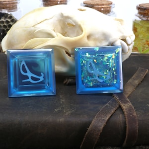 May include: Two blue square resin dice with a white design of a stylized leaf. One die has a glittery finish and the other is clear.
