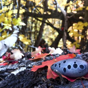 Puede incluir: Una ocarina gris de forma redondeada con varios agujeros, descansando sobre un lecho de hojas de oto&ntilde;o rojas y amarillas. La ocarina es un instrumento musical.