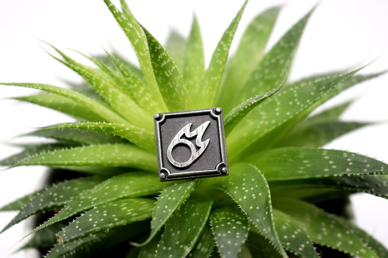 Puede incluir: Un pin de metal plateado con fondo negro y un dise&ntilde;o de llama blanca. El pin est&aacute; en una planta suculenta verde.