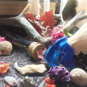 May include: A blue glass pendant with a white design, surrounded by dried flowers, a glass vial, and a skull. The pendant is on a dark brown surface.