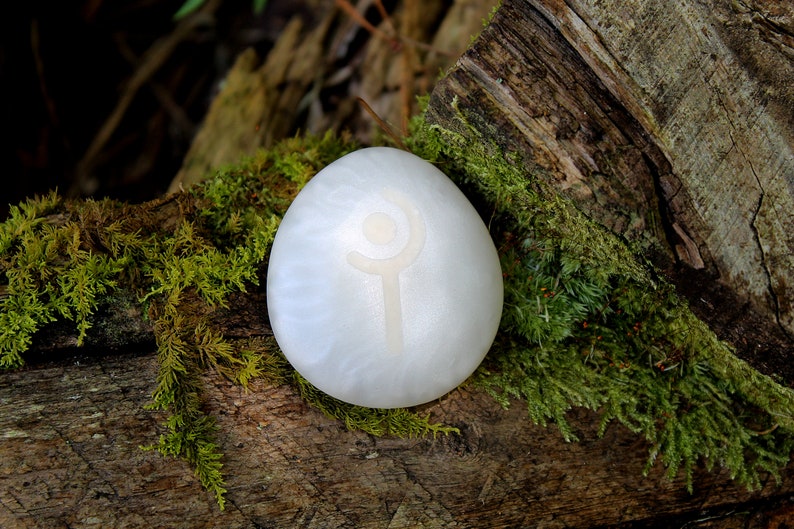May include: White oval-shaped stone with a carved symbol on it. The stone is resting on a mossy log.