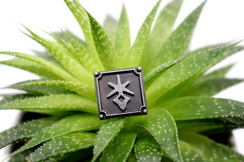 May include: A square, silver-toned metal pendant with a stylized symbol, set against a backdrop of a green aloe vera plant. The pendant has a dark gray center and decorative corner details.
