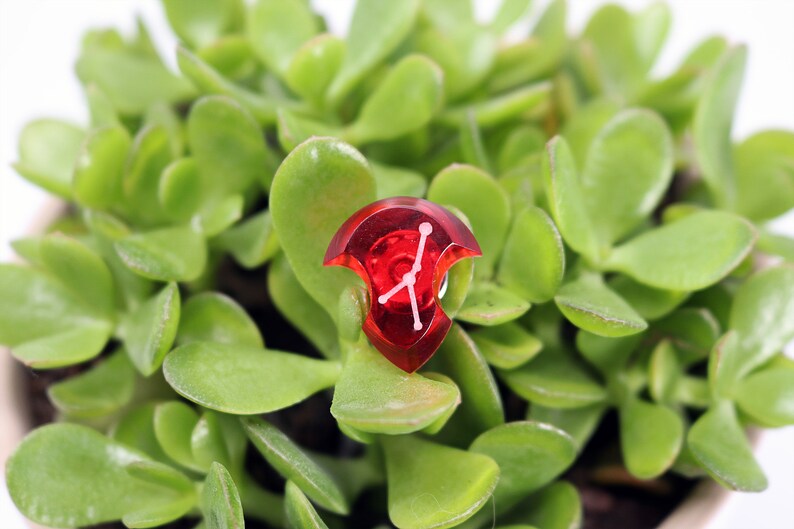 May include: A red, clear plastic dice with white markings in the shape of a shield. The dice is sitting on top of a green succulent plant.