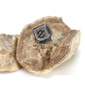 May include: A small, silver-colored metal charm with a stylized letter 'Z' design, resting on a piece of light brown and white rock.