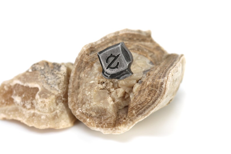 May include: A small, silver-colored metal charm with a stylized letter 'Z' design, resting on a piece of light brown and white rock.