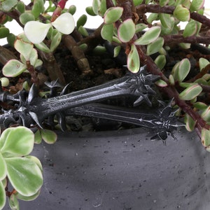 May include: Two black plastic swords with intricate designs, lying on top of a gray pot with a green succulent plant.