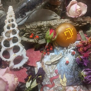 Puede incluir: Una concha blanca con un dise&ntilde;o en espiral, una esfera dorada con un s&iacute;mbolo amarillo, un ramo de rosas rojas y flores secas sobre una superficie de madera.