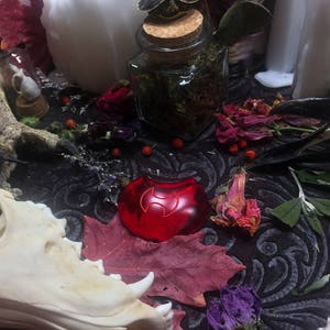 May include: A red glass crescent moon charm with a stylized symbol inside, surrounded by dried flowers, herbs, and animal bones on a black fabric background.