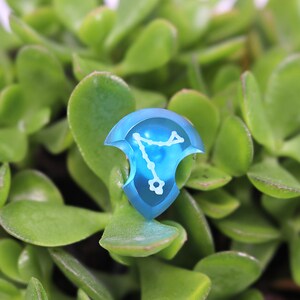 May include: A blue, translucent,  dice with a white constellation design. The dice is sitting on a bed of green succulent leaves.