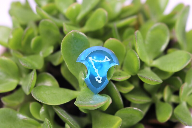 May include: A blue, translucent,  dice with a white constellation design. The dice is sitting on a bed of green succulent leaves.