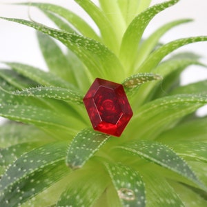 May include: A red, hexagonal, glass gem sits on top of a green succulent plant.