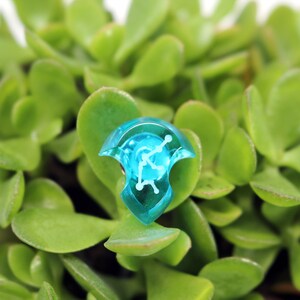 May include: A turquoise blue, clear plastic, triangular-shaped dice with white markings. The dice is sitting on top of a green succulent plant.
