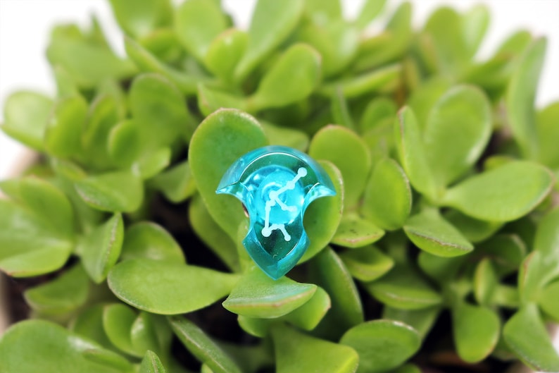 May include: A turquoise blue, clear plastic, triangular-shaped dice with white markings. The dice is sitting on top of a green succulent plant.