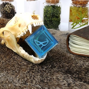 May include: A blue glass square with a stylized design inside, held in the open jaws of a white animal skull. The skull is on a brown fur surface, with a leather-bound journal and glass jars filled with natural elements in the background.