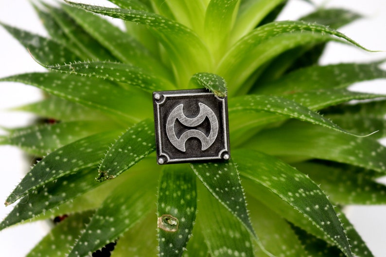 May include: A silver-colored metal pin with a black background and a stylized design of two overlapping circles. The pin is sitting on a green succulent plant.