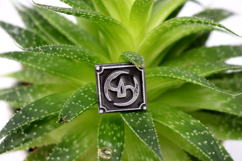 May include: A silver-colored metal pin with a geometric design. The pin is on a green plant with small white dots.
