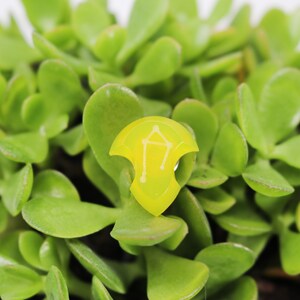 May include: A yellow resin pendant with a white outline of the Libra zodiac sign. The pendant is sitting on a bed of green succulent leaves.