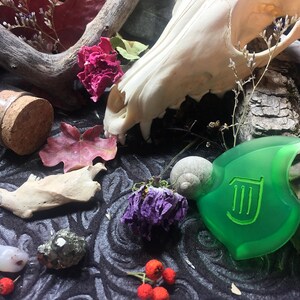 May include: A green plastic charm with a harp symbol, a white animal skull, a small bottle with a cork stopper, a dried leaf, a dried flower, and a snail shell on a dark fabric background.
