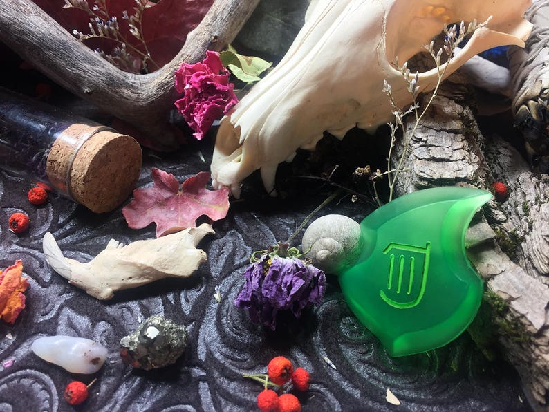 May include: A green plastic charm with a harp symbol, a white animal skull, a small bottle with a cork stopper, a dried leaf, a dried flower, and a snail shell on a dark fabric background.