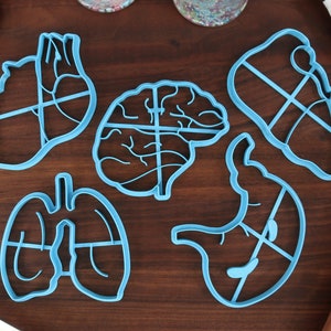 Anatomical Organs Cookie Cutters, Set 1 - Human Brain, Heart , Liver, Lung, Stomach Body Parts