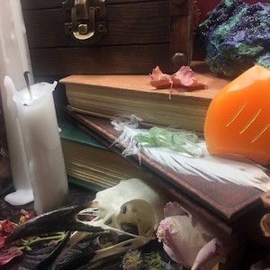 May include: A still life featuring a white candle, a stack of old books, a white feather, a green crystal, an orange carved stone, and a dried flower.