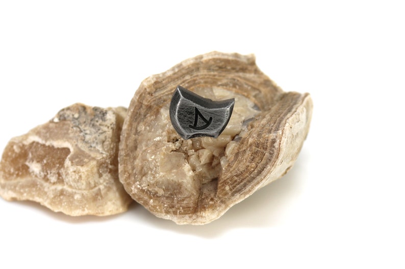 May include: A small, black metal charm with a symbol on it, resting on a piece of light brown, layered rock.